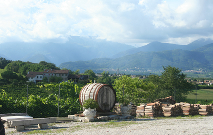 image: The view from our hotel, a working vineyard in Italy's main Prosecco-producing region