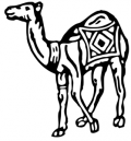 image: Camel