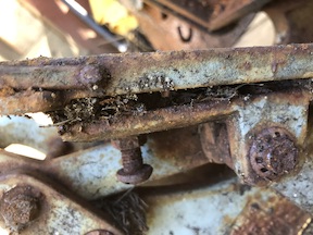 image: platen edge