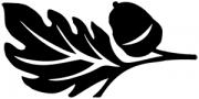 image: Acorn leaf