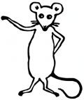 image: mouse rodent animal