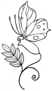 image: Butterfly Czescha