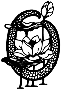 image: O Lotus