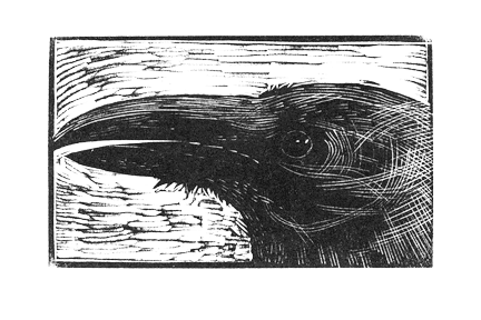 image: raven.gif