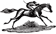 image: Race horse